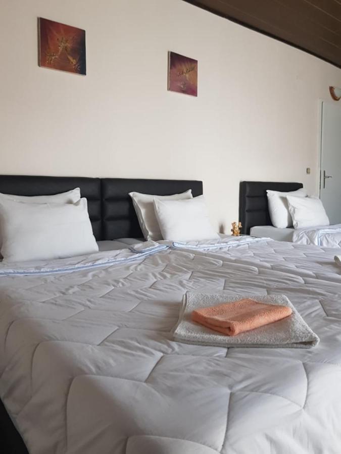 Villa Amsterdam Ohrid Bagian luar foto