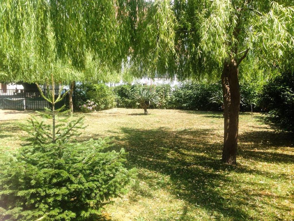 Villa Amsterdam Ohrid Bagian luar foto